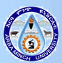 Arba Minch University校徽