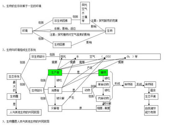 中考生物知识点分类结构图-2