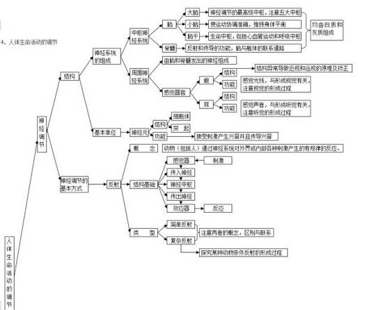 中考生物知识点分类结构图-3
