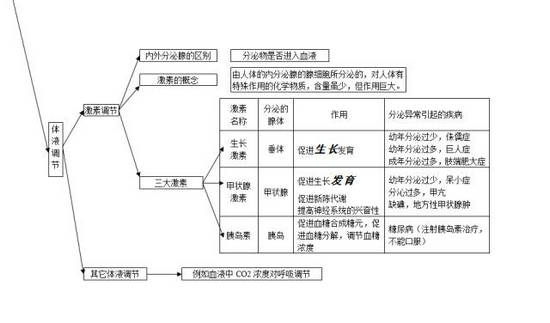 中考生物知识点分类结构图-3