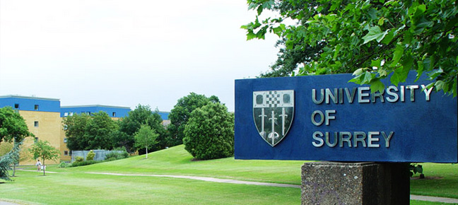 萨里大学 university of surrey