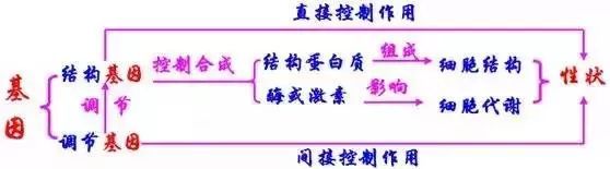 基因对性状的控制情况 基因对性状的控制情况
