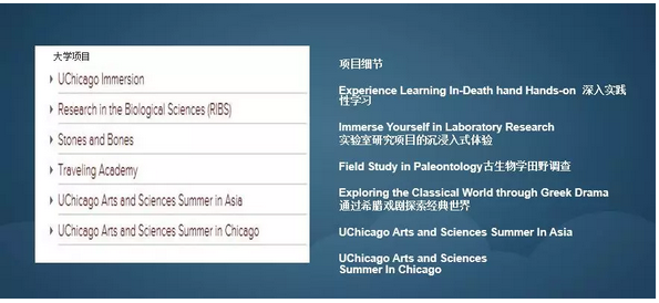 芝加哥大学研究项目式夏校