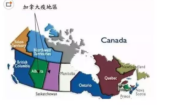 加拿大被传染地区