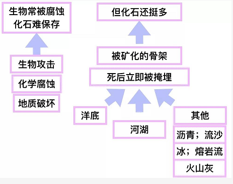 文章结构有哪些