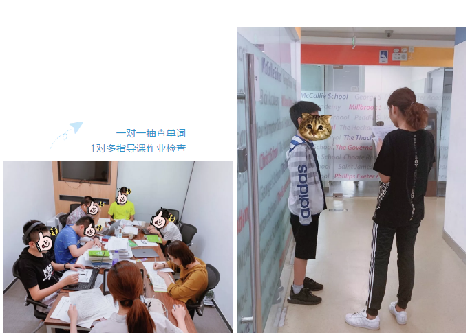 一对一抽查单词 一对一抽查单词