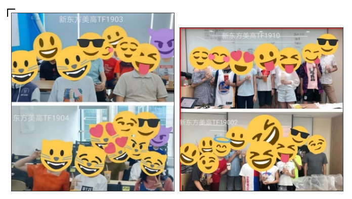 新东方美高项目 新东方美高项目