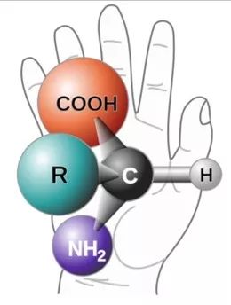 STEM课程 STEM课程