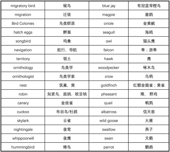 鸟类话题相关词汇 附:鸟类话题相关词汇
