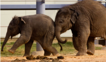 GRE词汇学习 GRE词汇学习