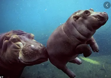 GRE词汇学习 GRE词汇学习