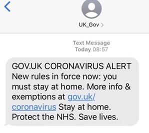 1605492976822448.jpg 2.jpg