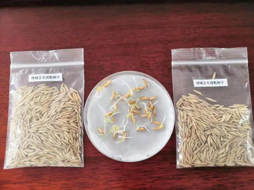 1609226989757287.png 1_副本.png