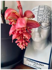 1609750709661904.jpg 1.jpg