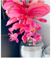 1609750712191493.jpg 2.jpg