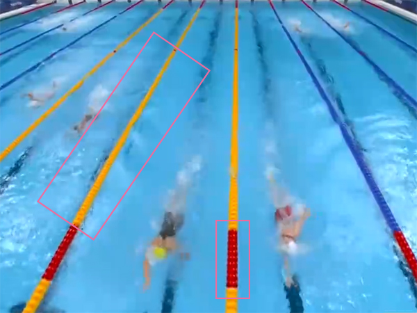 奥运游泳比赛惊喜不断，相关游泳知识了解一下