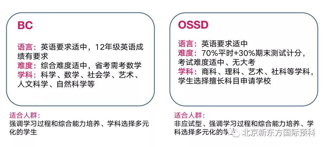OSSD与主流国际课程AP/IB/A-Level全面对比