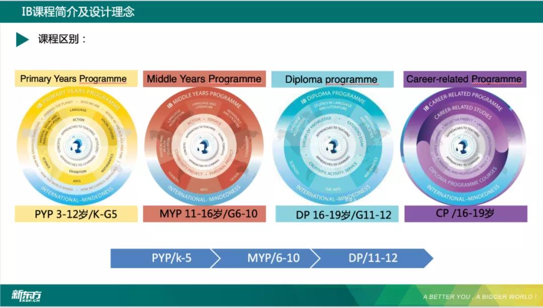 国际部课程体系