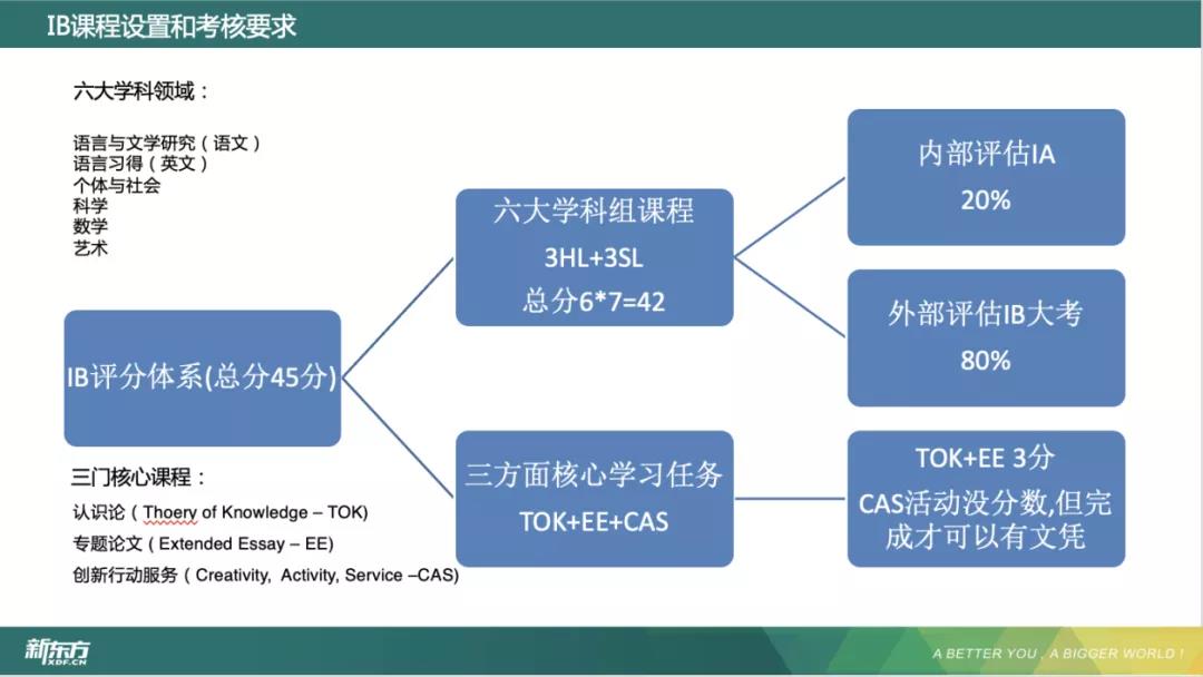 国际部课程体系