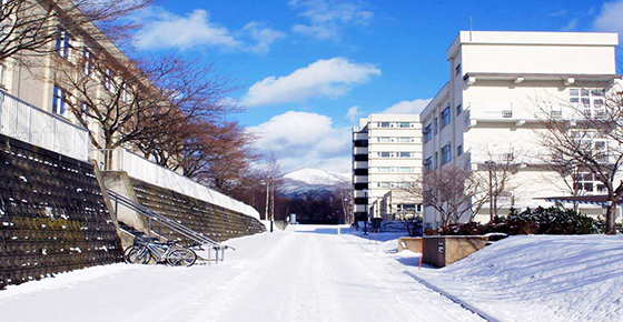 室兰工业大学排名_室兰工业大学简介_室兰工业大学官网_室兰工业大学