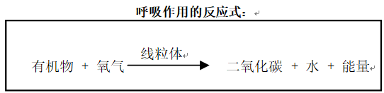 呼吸作用反應式.png