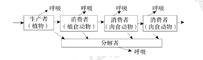(3)生态系统中的物质和能量是沿食物链和食物网流动的.